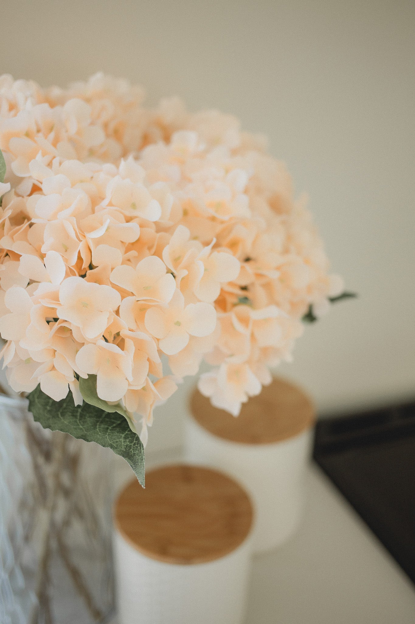 Hortensie