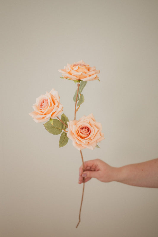 3 Blossom Rose Stem