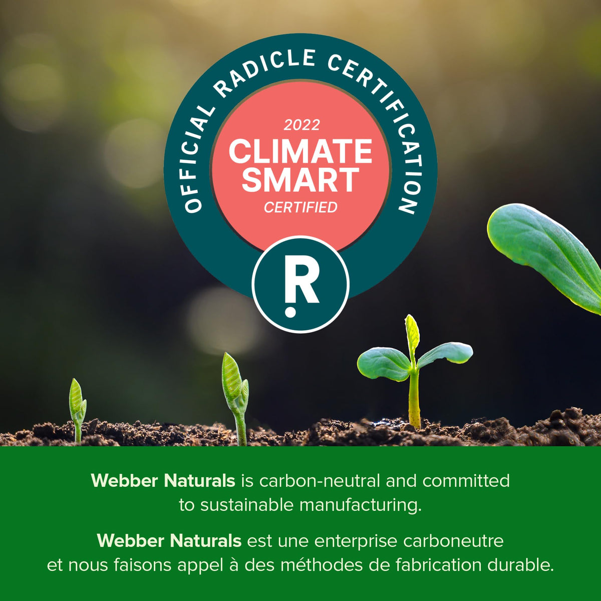 Webber Naturals Probiotic Women’s Daily, 25 Billion Active Cells per Capsule, 10 Probiotic Strains, 30 Capsules, Helps Restore Healthy Vaginal Flora, Vegan 🍁 All In One Marketplace Canada