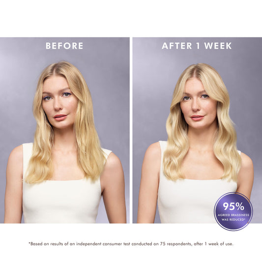 Moroccanoil Treatment Purple Hair Oil for Blonde Hair, 1.7 Fl. Oz. 🍁 All In One Marketplace Canada