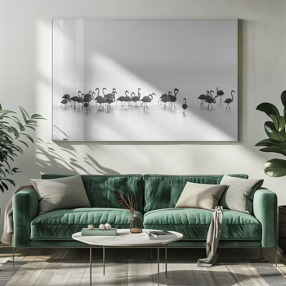 Wandbild Flamingos