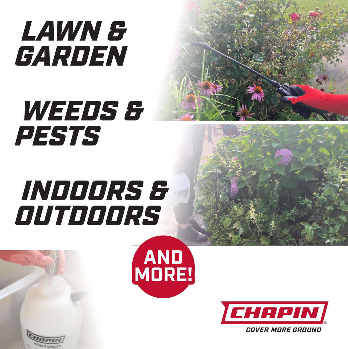 Chapin 16200 Home and Garden Poly Sprayer, 2-Gallon 🍁 All In One Marketplace Canada