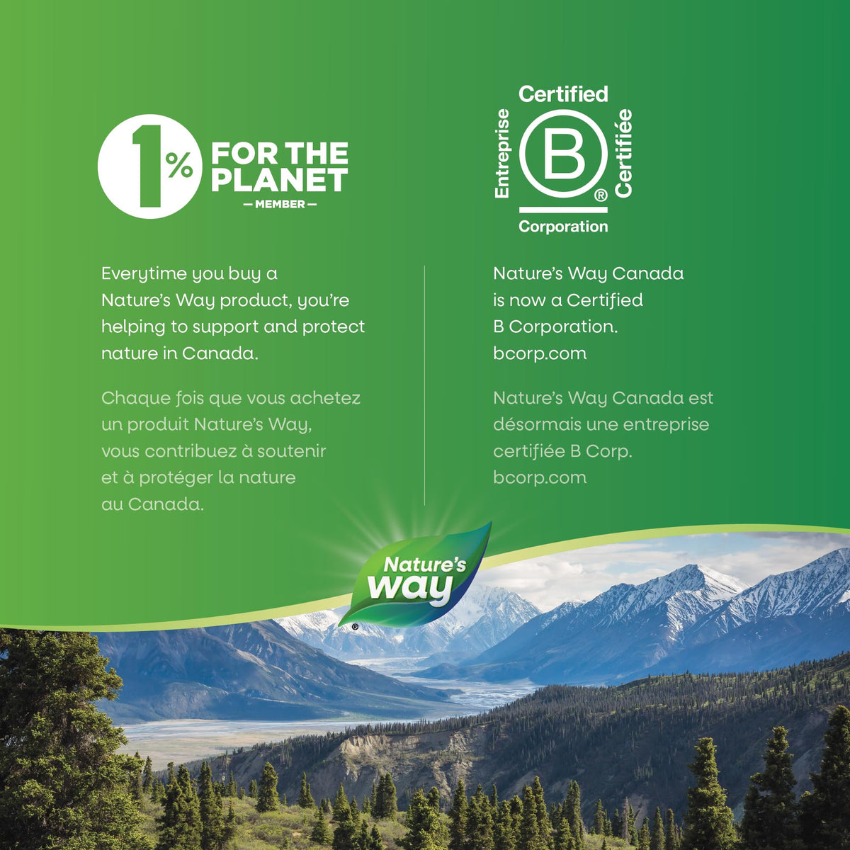 Nature's Way Horse Chestnut Supplement – Helps Treat Varicose Veins and Associated Symptoms – Digestive System Inflammation Relief – 100mg Calendula, 250mg Horse Chestnut – 90 Vegetarian Capsules 🍁 All In One Marketplace Canada