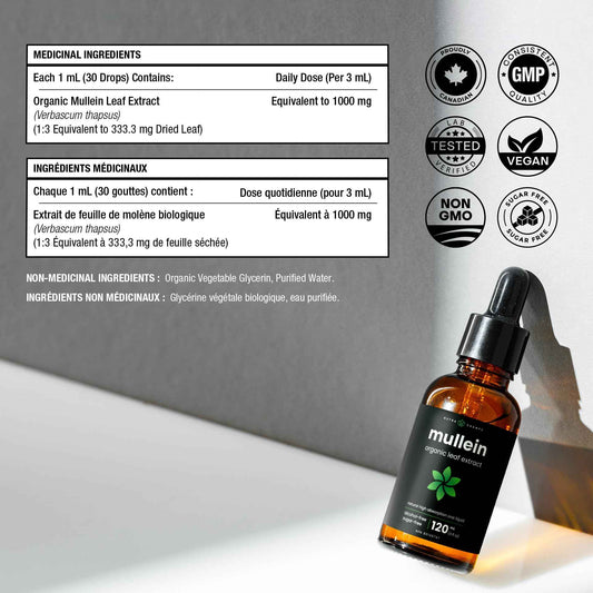 Organic Mullein Leaf Extract for Lungs - 4 Fl Oz - Herbal Tincture for Lung Cleanse & Flush - Natural Mullein Tea Alternative - Mullein Supplement Drops for Lungs - 1,000mg Equivalent Per Serving 🍁 All In One Marketplace Canada