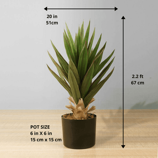 Aloa Künstliche Aloe Vera Baum Topfpflanze 20''