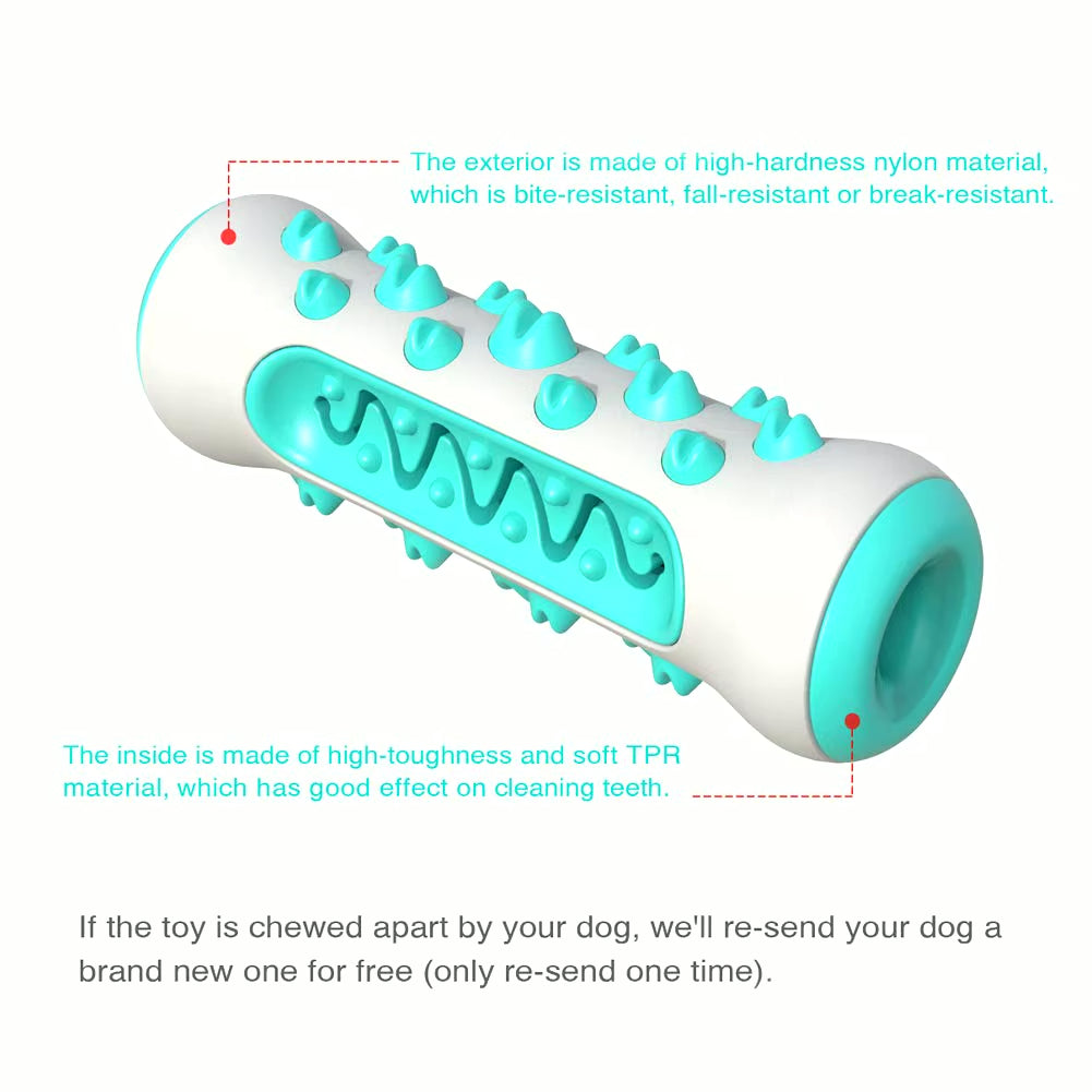 Molar Chew Toy for Dogs