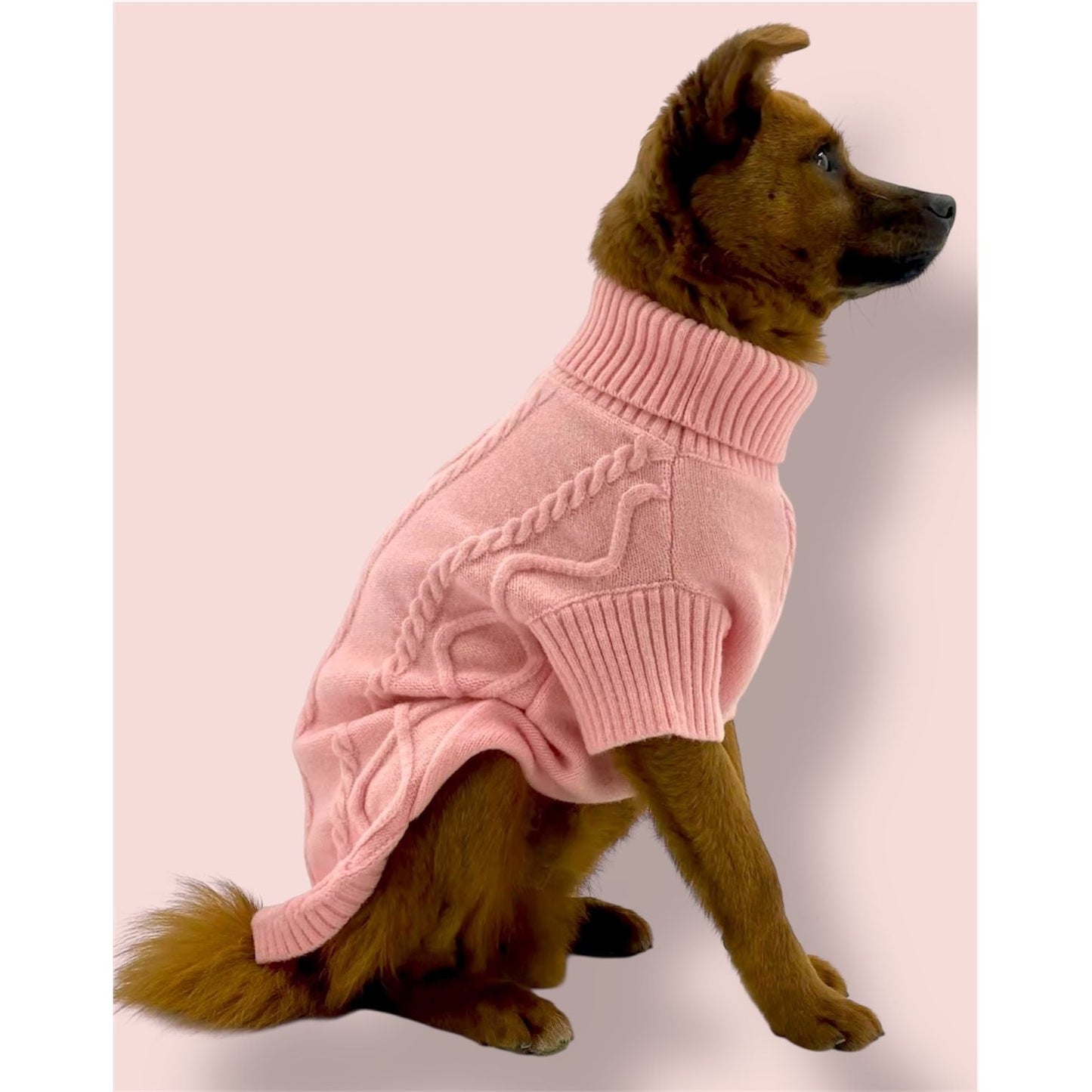 Pink Sweater with D-ring
