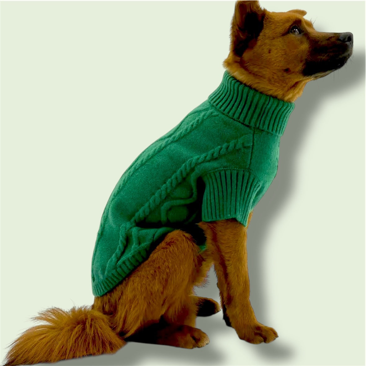 Green Sweater with D-ring