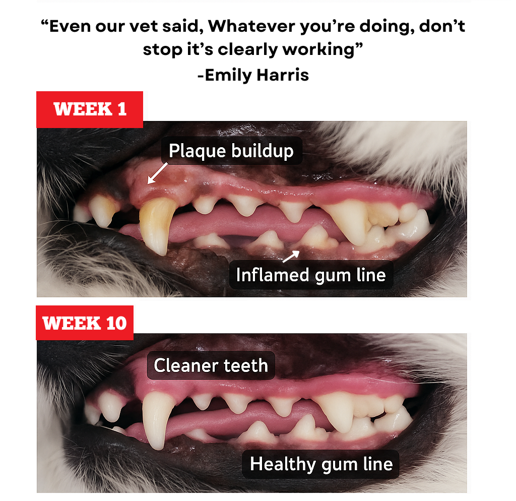 Himalayan Yak Chew (MEDIUM)