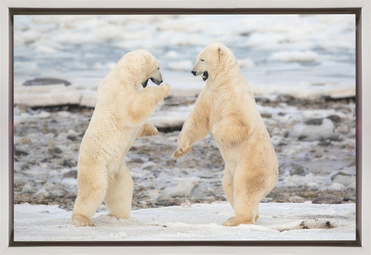 Wall art Fight !