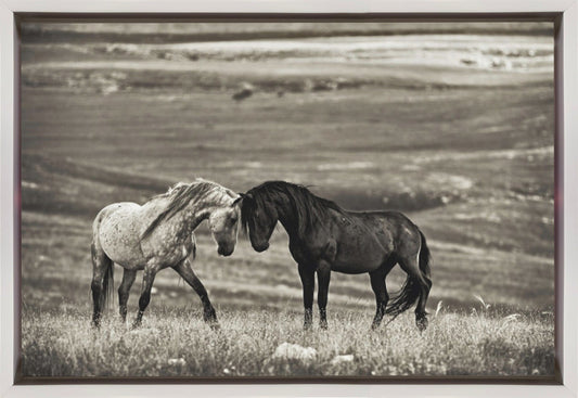 Wall art close encounter