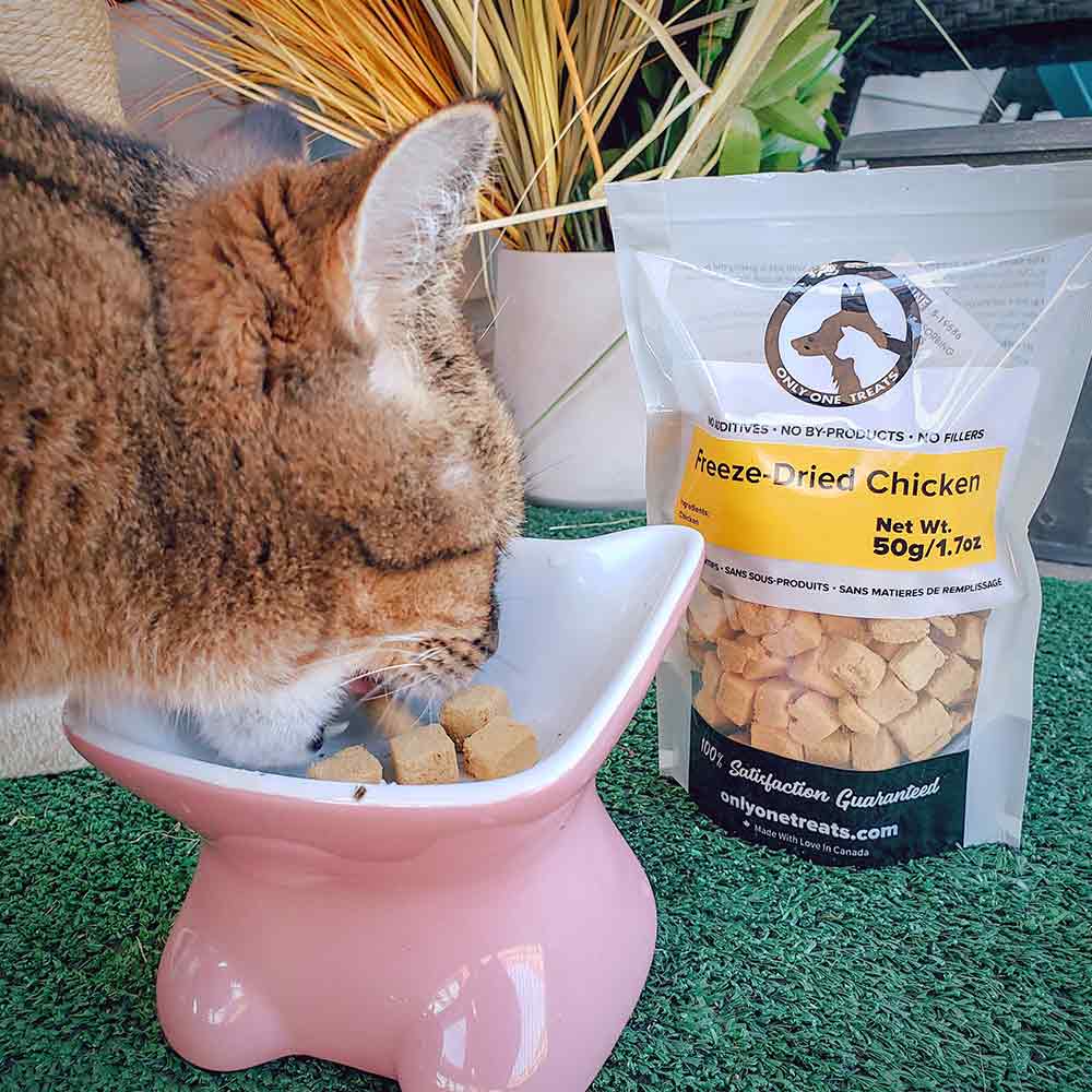 Freeze-Dried Chicken 50g