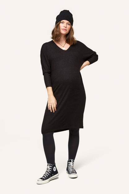Quinn Maternity and Nursing Dress