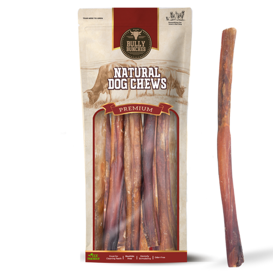 10-12 Inch Champion Chew