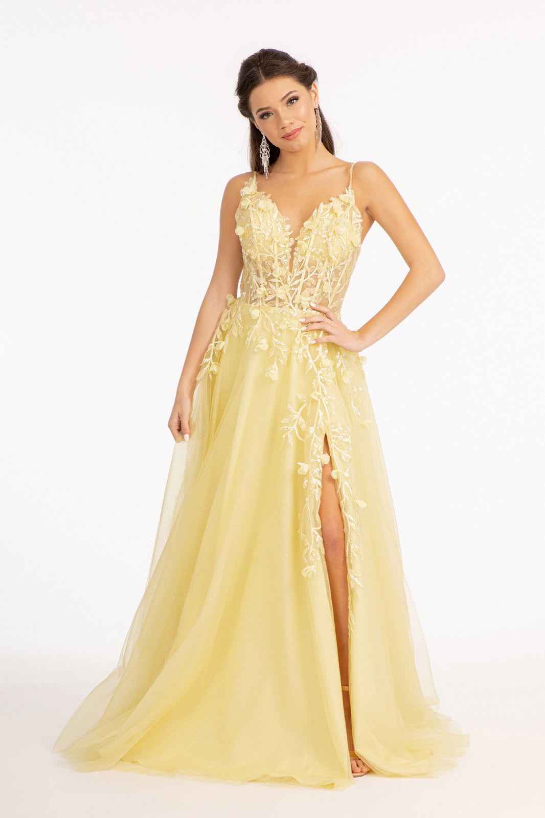 3-D Flower Applique Glitter Mesh A-line Dress w/ Embroidery