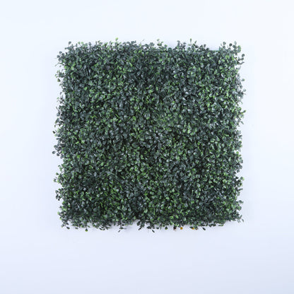 Barcelona (box of 12)