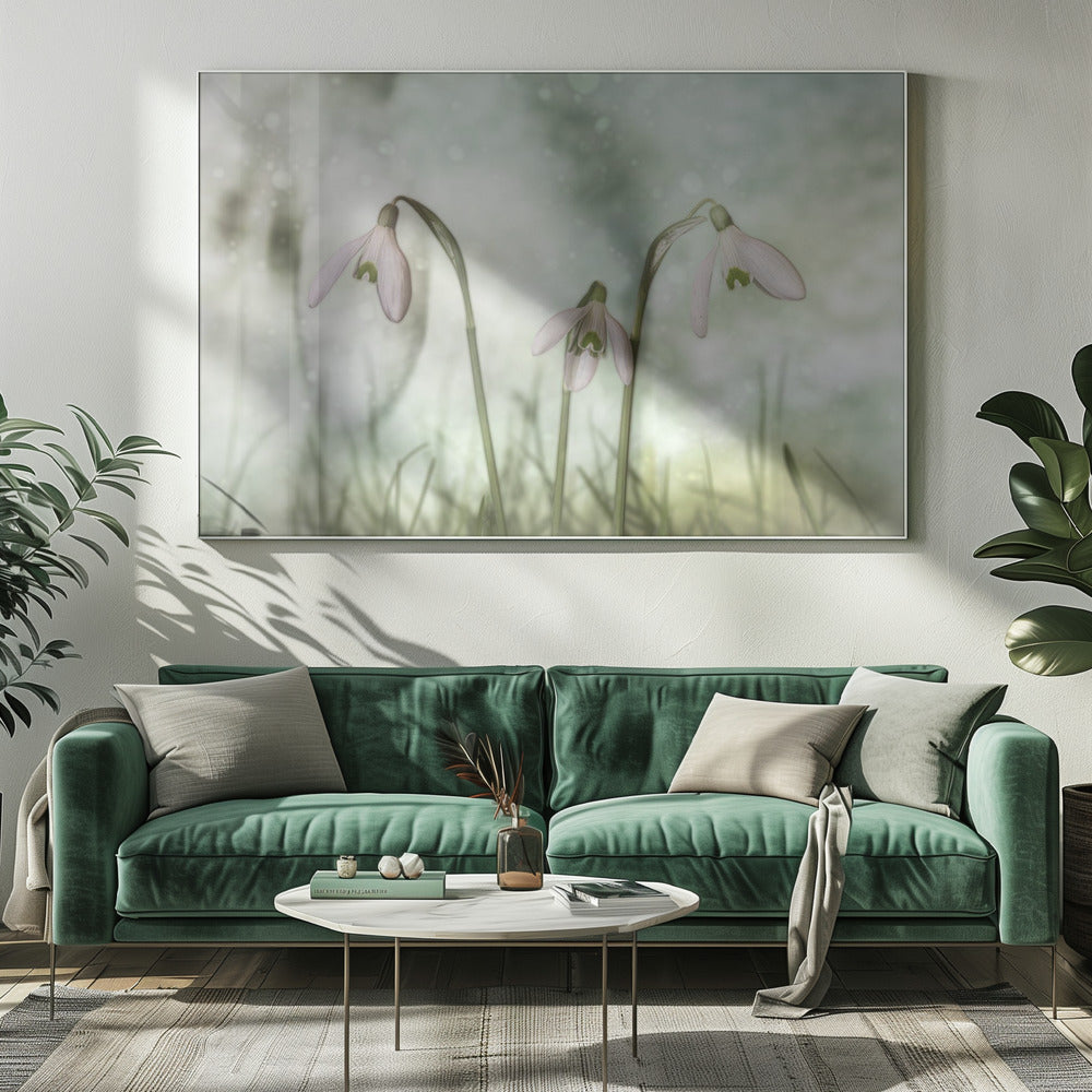 Wall Art Trio 2