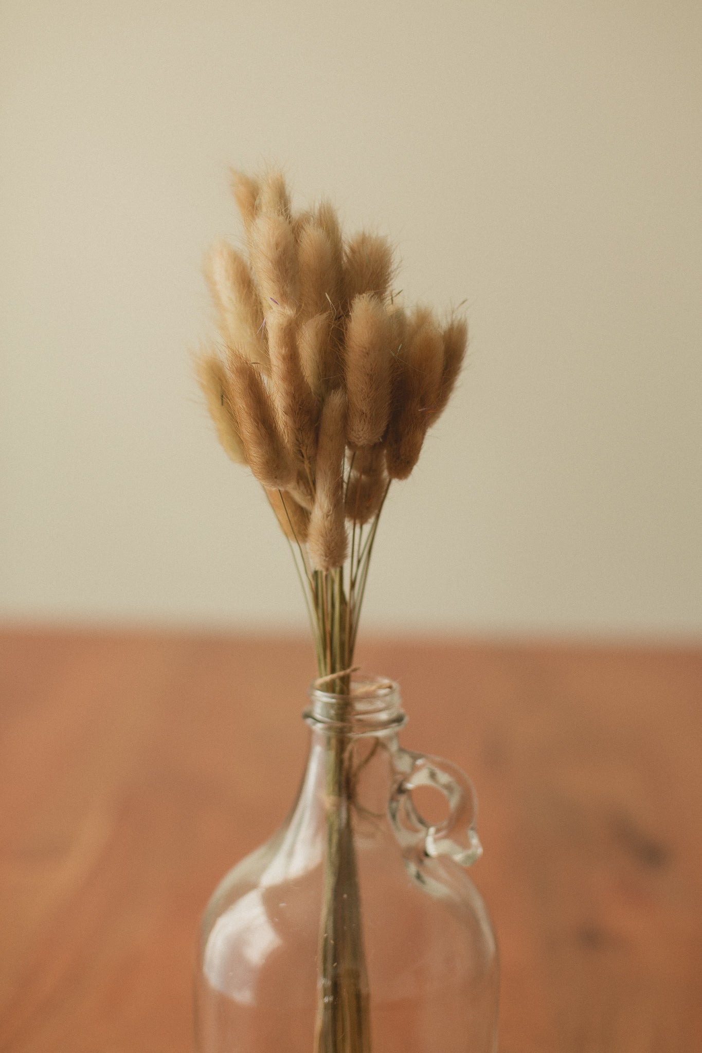 Bunny Tails