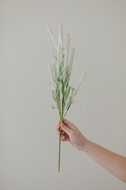 Amaranthblüten