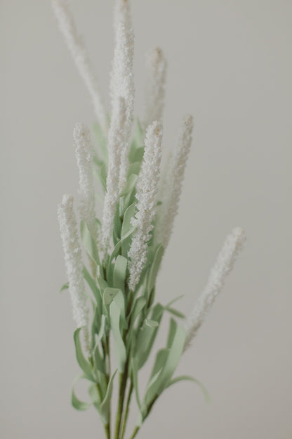 Amaranthblüten