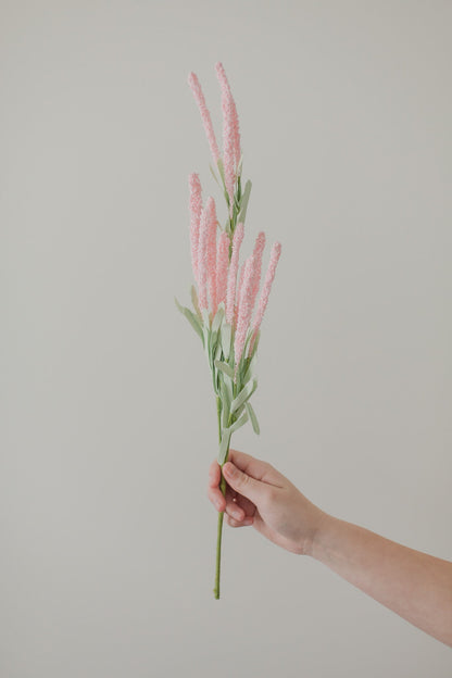 Amaranthblüten