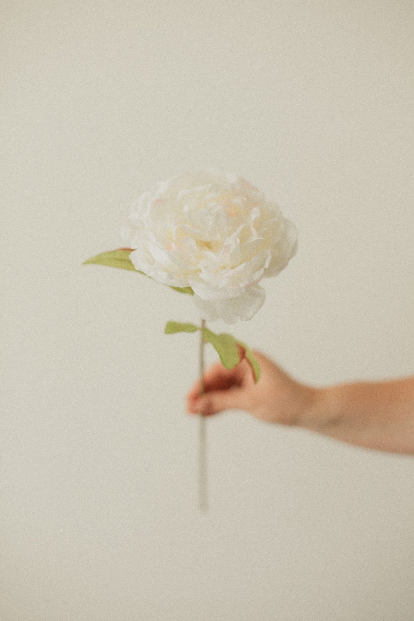 Large Peony