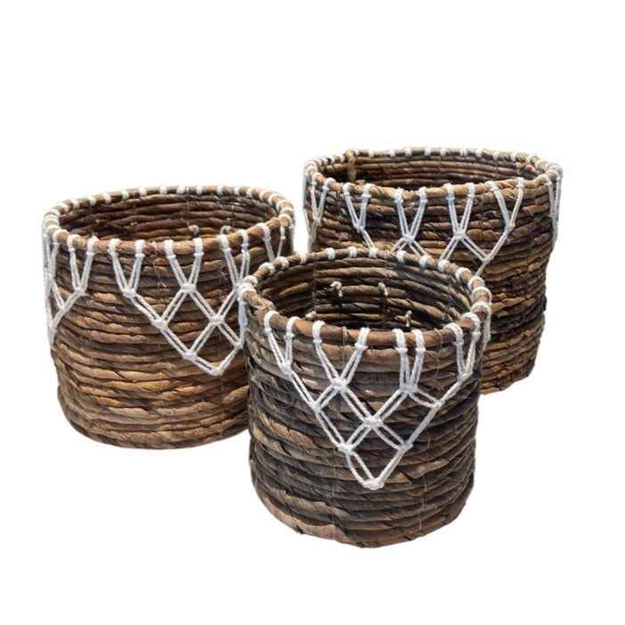 Banana Leaf & Macrame Apex Planter Basket