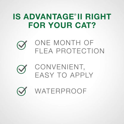 Advantage II - Flea Prevention - Small Cats - Vet Recommended - 6-pack 🍁 All In One Marketplace Canada