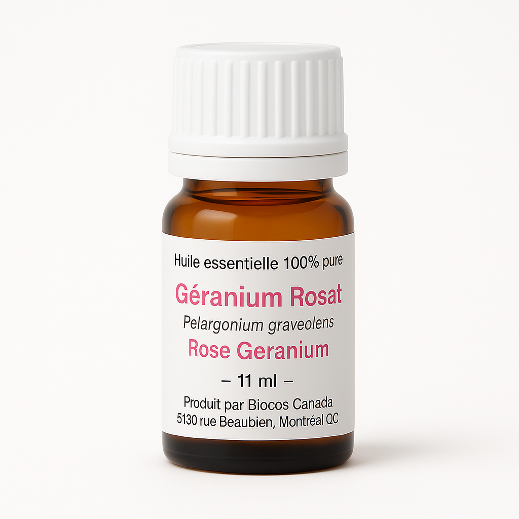 Géranium Rosat
