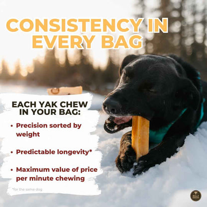 Bully Bunches Large Authentic Yak Cheese Himalayan Chews for Large Dogs & Heavy Chewers - All Natural Dog Treat Dental Chews, Made with Real Yak Milk - Lactose & Rawhide Free (2 Pk) 🍁 All In One Marketplace Canada