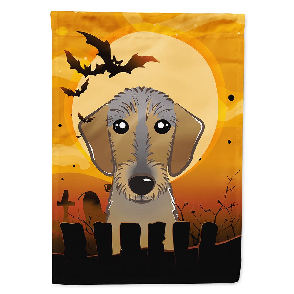Caroline's Treasures BB1791CHF Halloween Wirehaired Dachshund Canvas House Size Flag, Multicolor, Large