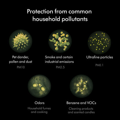 Dyson Combi 360° Glass HEPA and Activated Carbon Air Purifier Filter 🍁 All In One Marketplace Canada