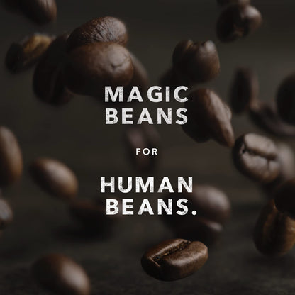 Kicking Horse Coffee, Whole Bean, 1 lb - Certified Organic, Fairtrade, Kosher Coffee, Grizzly Claw - Dark Roast, 454 g (Pack of 1) 🍁 All In One Marketplace Canada