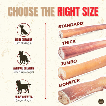 Bully Bunches Premium (12" Standard - 5 Pack) Odour-Free, Consistently Sized Bully Sticks for Medium Dogs - Long Lasting Oral Care Chews - All Natural Single Ingredient, Beef Dog Treat, No Rawhide 🍁 All In One Marketplace Canada