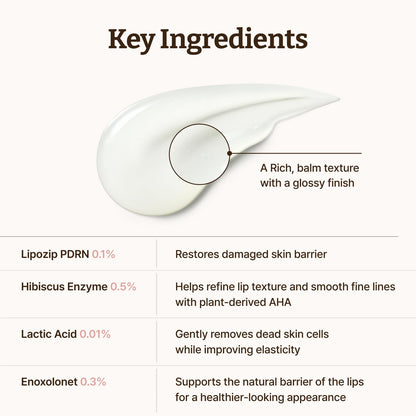 Dr. Reju-All Advanced PDRN Rejuvenating Lip Serum - Hydrating Lip Balm with Lipozip PDRN for Glowy, Dewy Lips - Gentle Exfoliating & Smoothing Lip Moisturizer - Hibiscus & Lactic Acid - 10ml 🍁 All In One Marketplace Canada