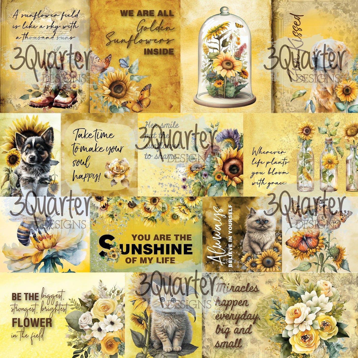 Sunflower Elixir 6x6 pack