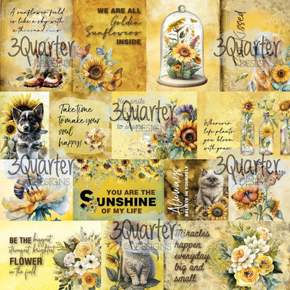 Sunflower Elixir 6x6 pack