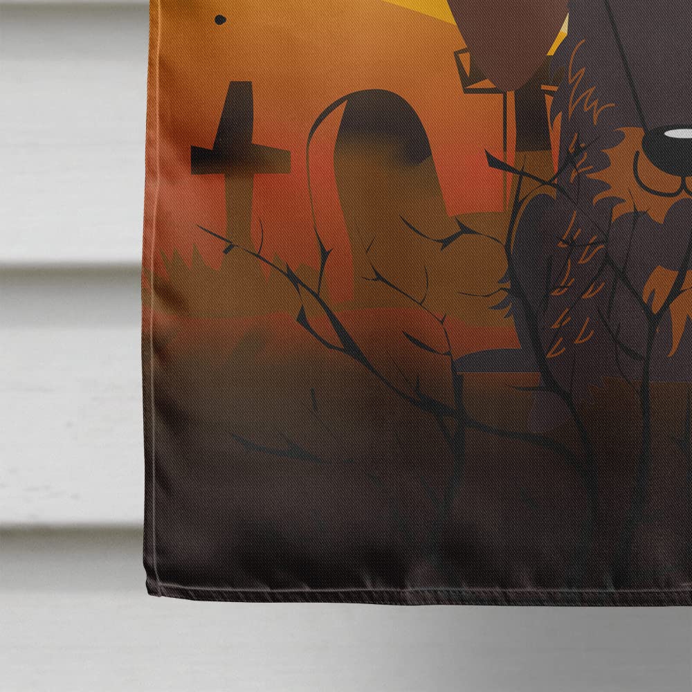 Caroline's Treasures BB4395CHF Halloween Wire Haired Dachshund Chocolate Canvas House Flag, Large, Multicolor