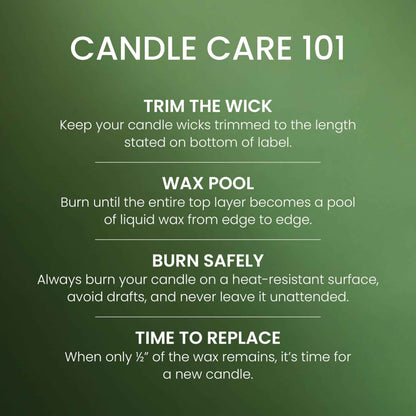 Yankee Candle 3 Wick Candle Jar, Scented Candle with up to 40 Hours of Burn Time, Premium Plant Wax Blend for Consistent Long Lasting Scent from First to Last Burn, Balsam & Cedar 🍁 All In One Marketplace Canada