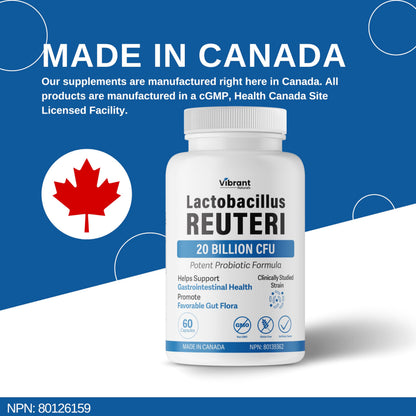 Lactobacillus Reuteri Probiotic 20 Billion CFU - L Reuteri Probiotic - Highest CFU Count, Gut Health, Yogurt Starter Culture, Probiotic With Prebiotic FOS, Made In Canada, 60 Capsules 🍁 All In One Marketplace Canada