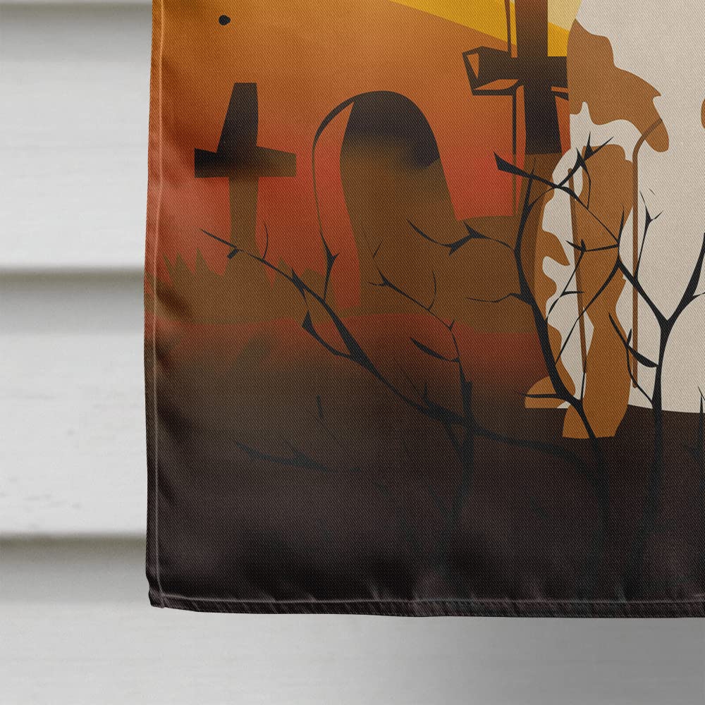 Caroline's Treasures BB4338CHF Halloween Brittany Spaniel Flag Canvas House Size, Large, Multicolor