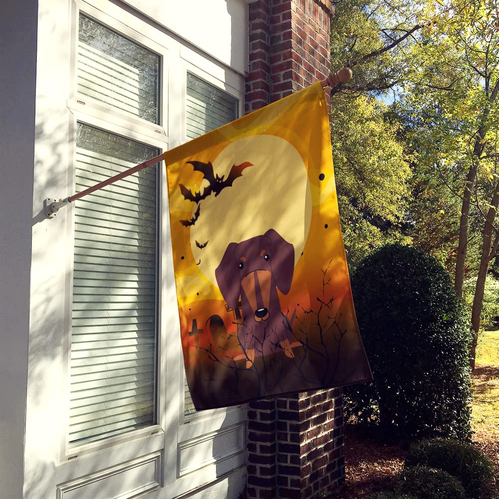 Caroline's Treasures BB4397CHF Halloween Dachshund Chocolate Canvas House Size Flag, Large, Multicolor
