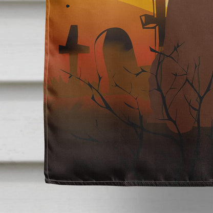 Caroline's Treasures BB4329CHF Halloween Irish Water Spaniel Flag Canvas House Size, Large, Multicolor