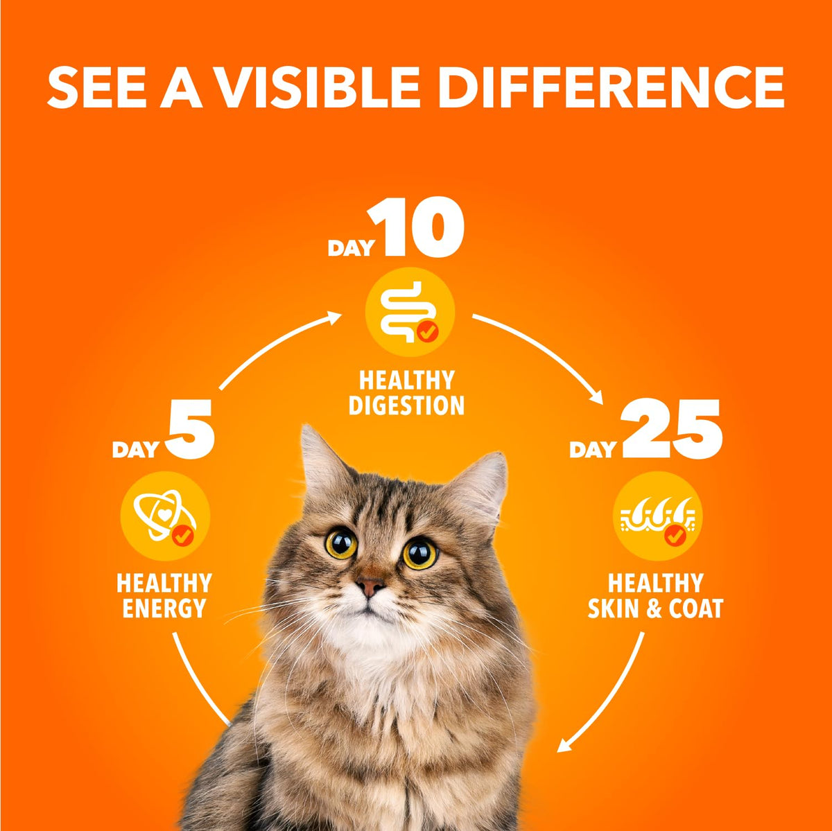 IAMS Perfect PORTIONS Adult Wet Cat Food, Chicken Flavour, 75g (24 Pack) 🍁 All In One Marketplace Canada