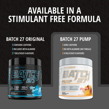 Batch 27 Pre Workout Powder - Nitric Oxide Booster & Preworkout for Men and Women w/Citrulline, Beta Alanine, Caffeine for Enhanced Energy, Endurance, & Reduced Fatigue - 40 Servings, Blue Slushie 🍁 All In One Marketplace Canada
