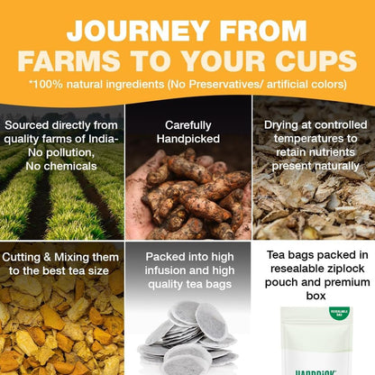 HANDPICK, Turmeric Ginger Tea, 100 Eco-Conscious Tea Bags | Caffeine Free, Gluten Free | 100% Pure Herbal Blend - Savory & Spicy | Curcumin | Packed in Eco-Friendly Tea Bags 🍁 All In One Marketplace Canada