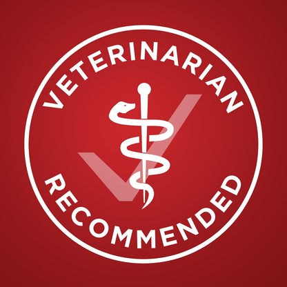Purina ONE Dry Dog Food, Microbiome Balance with Lamb & Rice 3.63kg 🍁 All In One Marketplace Canada