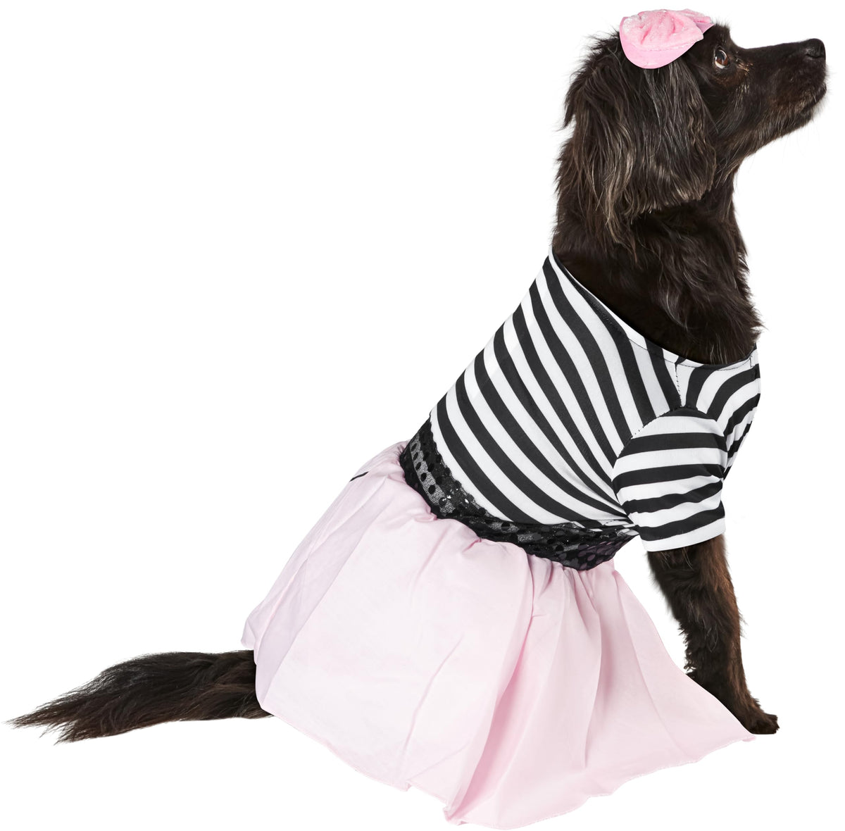 Rubies Costume Co Halloween Classics Collection Pet Costume, Medium, 50s Girl Dress