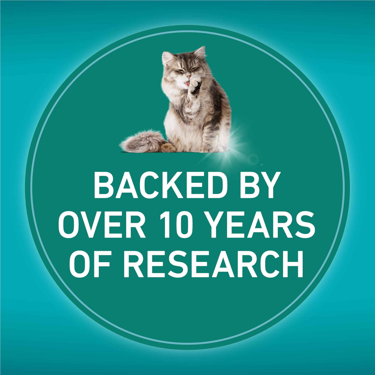 Purina ONE LiveClear Dry Cat Food, Allergen Reducing with Chicken 2.86kg 🍁 All In One Marketplace Canada