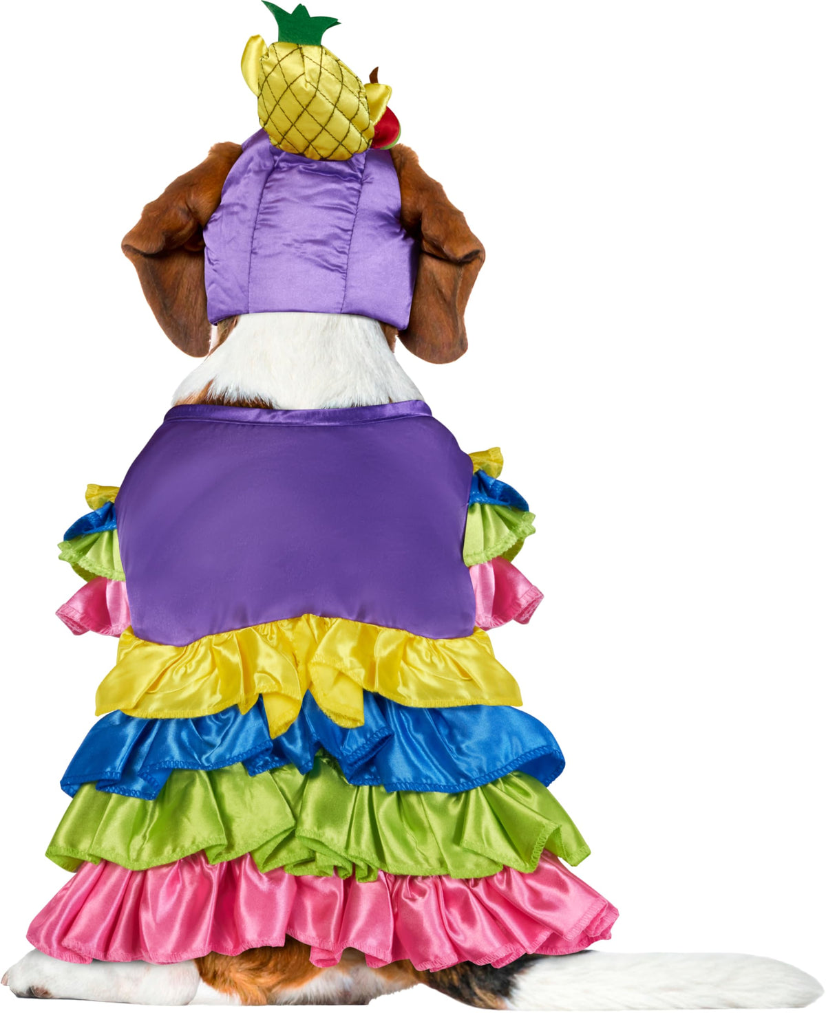Rubies Brazilian Bombshell Pet Costume, X-Large for Themed Parties and Halloween